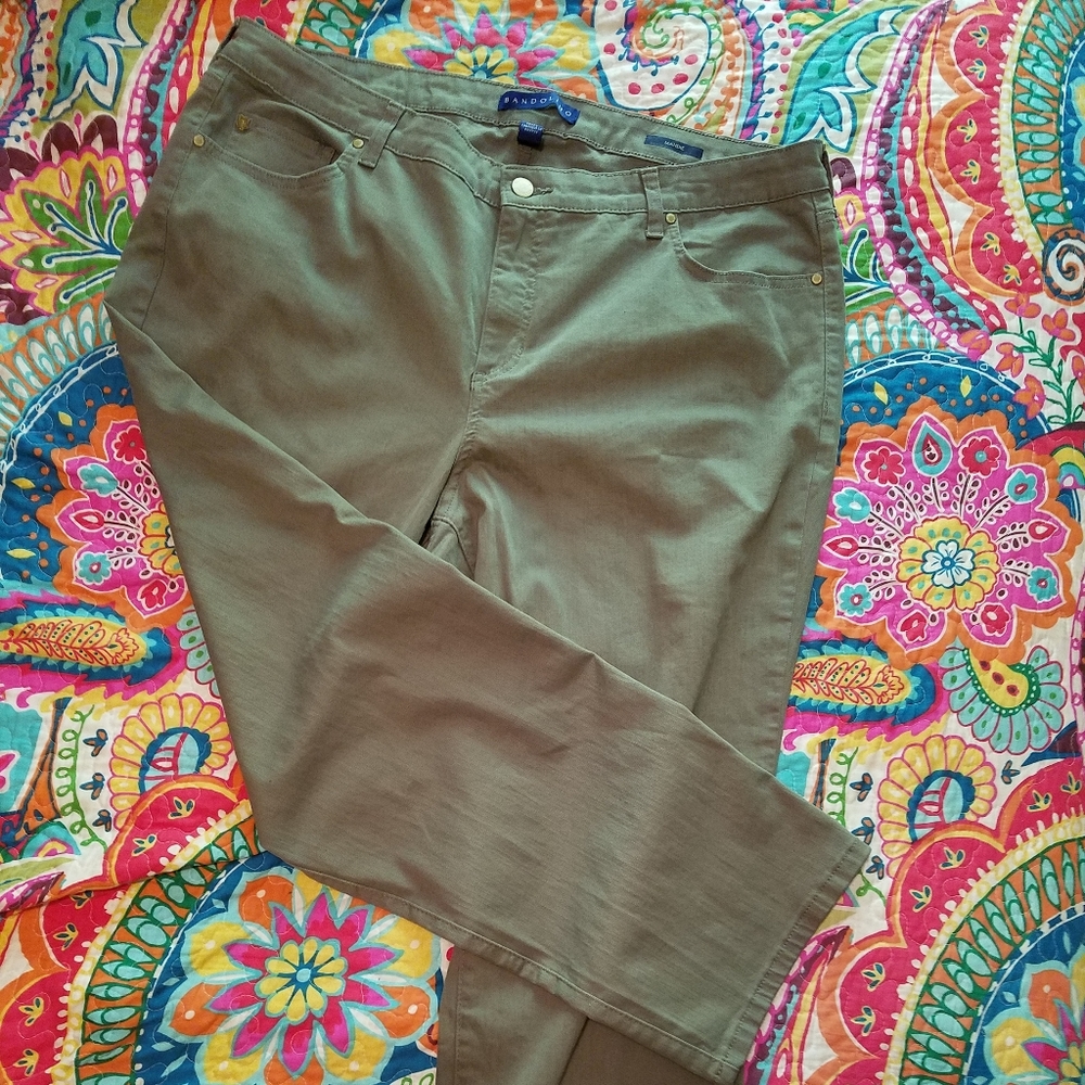 NWOT Ladies plus Bandolino brand jeans. Size 20W short.